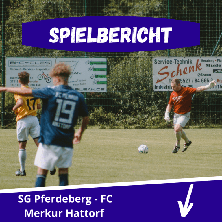 Read more about the article SG Pferdeberg gewinnt Generalprobe mit 3:0