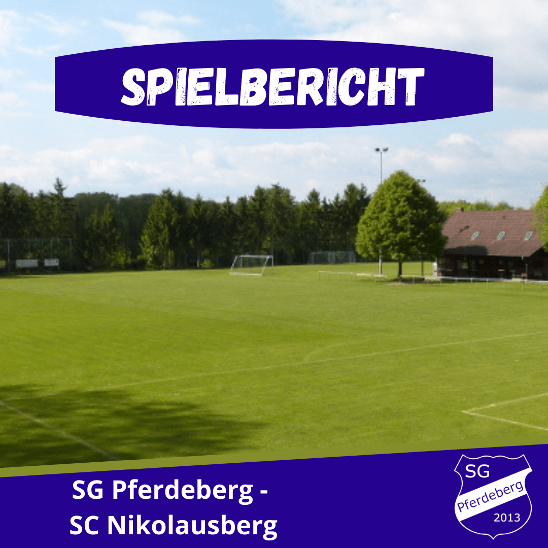 Read more about the article SGP mit Punkteteilung gegen SC Nikolausberg